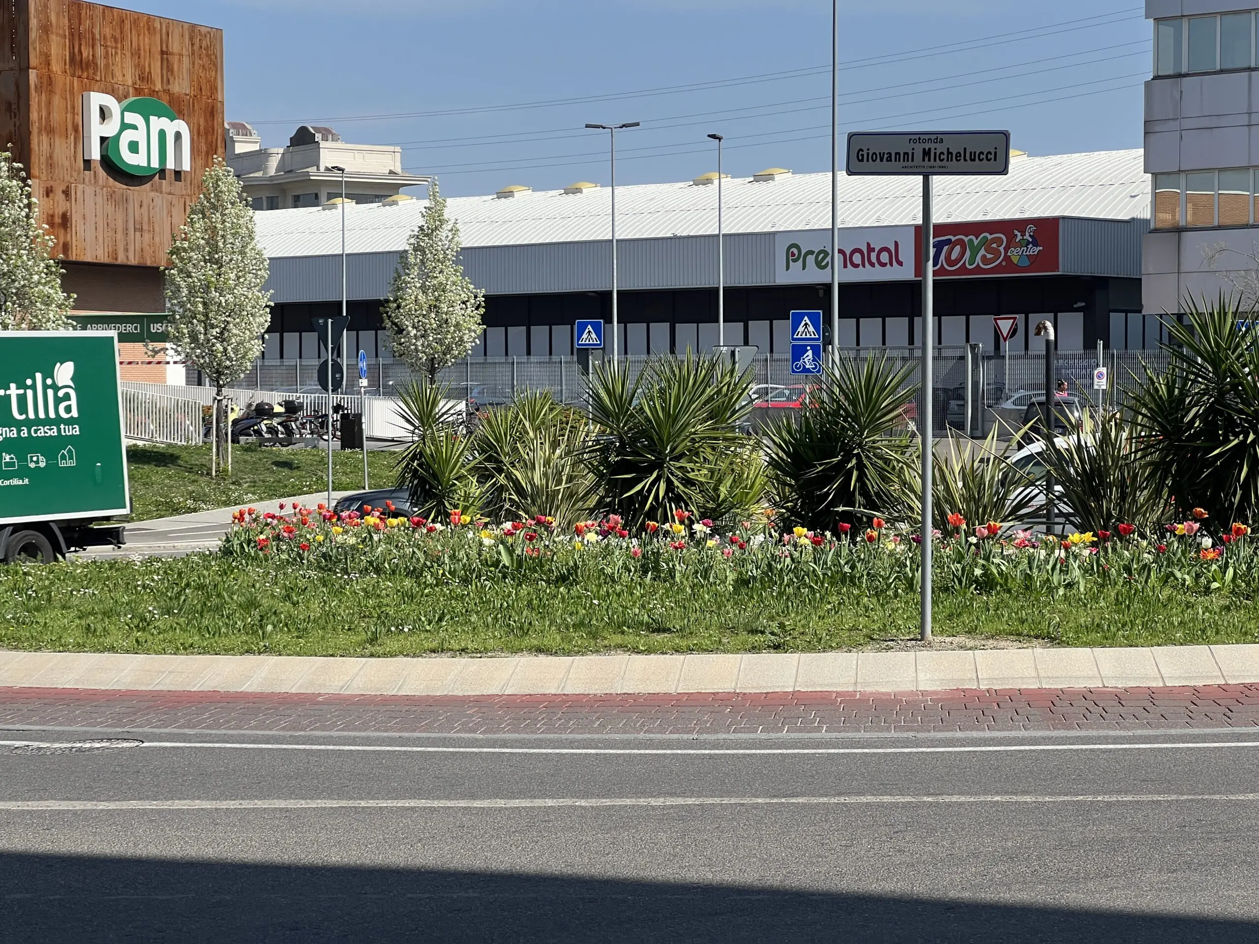 rotatoria